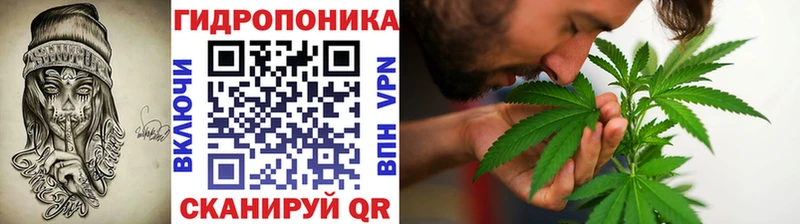 Купить наркотики Жуковский Cocaine  Каннабис  APVP  ГАШИШ  Меф мяу мяу 