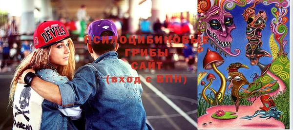 индика Белоозёрский