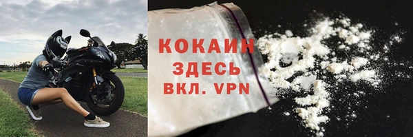 индика Белоозёрский