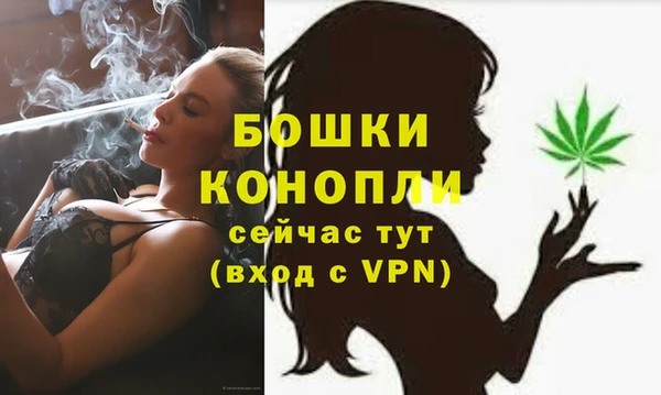 индика Белоозёрский