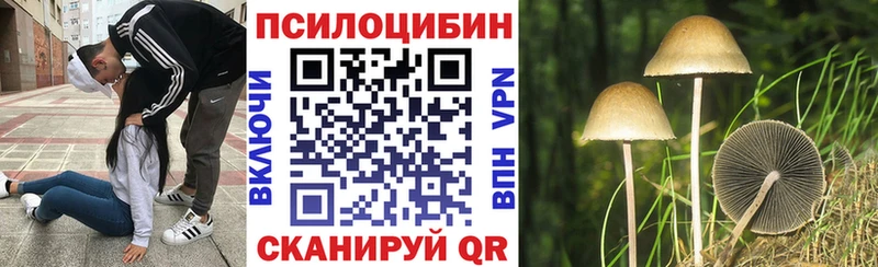 Псилоцибиновые грибы MAGIC MUSHROOMS  Жуковский 